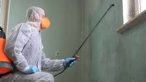 Why You Should Choose Our Mold Remediation Services in Beech Island, SC